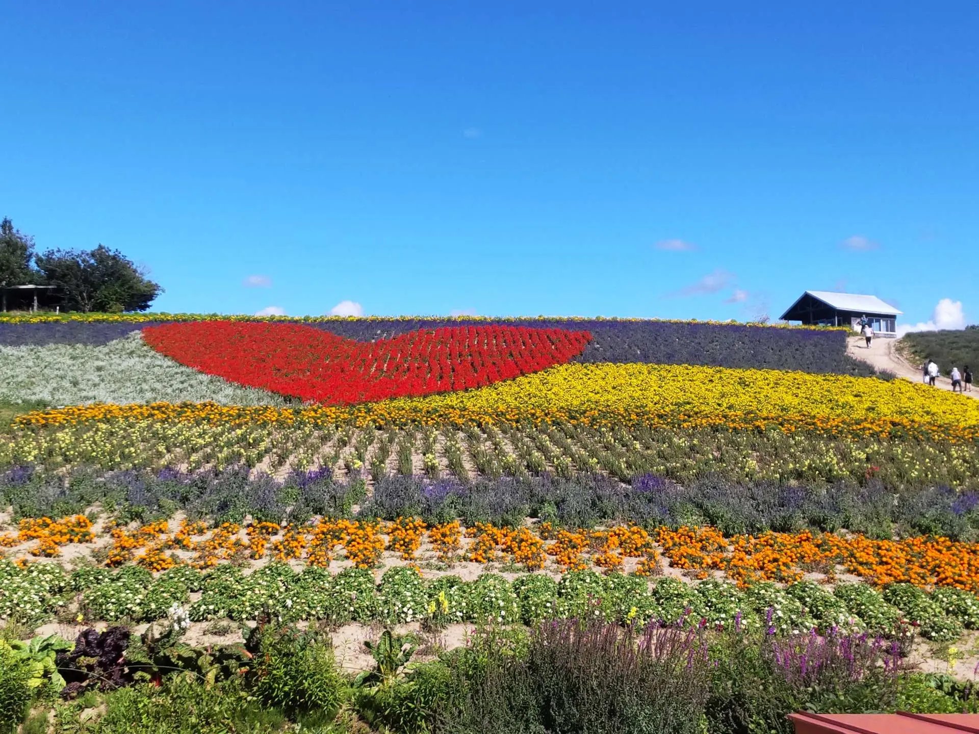 🌸 칸노 농장(칸노 파무) 이미지 7